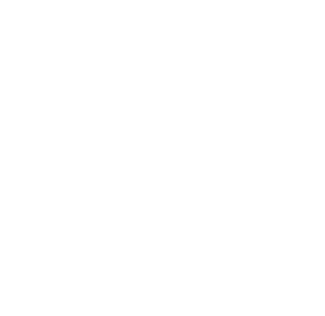 Beenleigh Basketball Integrity