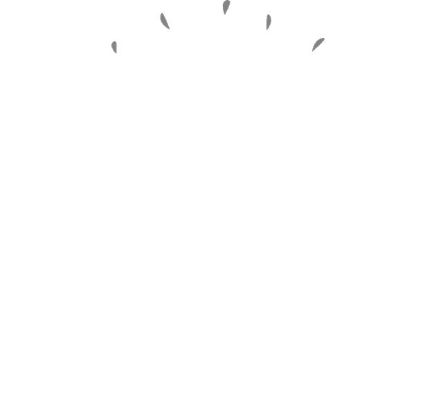 Beenleigh Basketball Sportsmanship